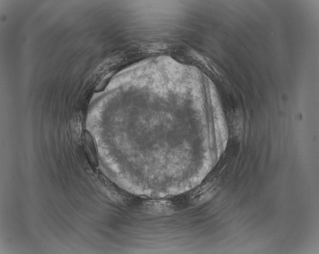 X0000068820427200605261555