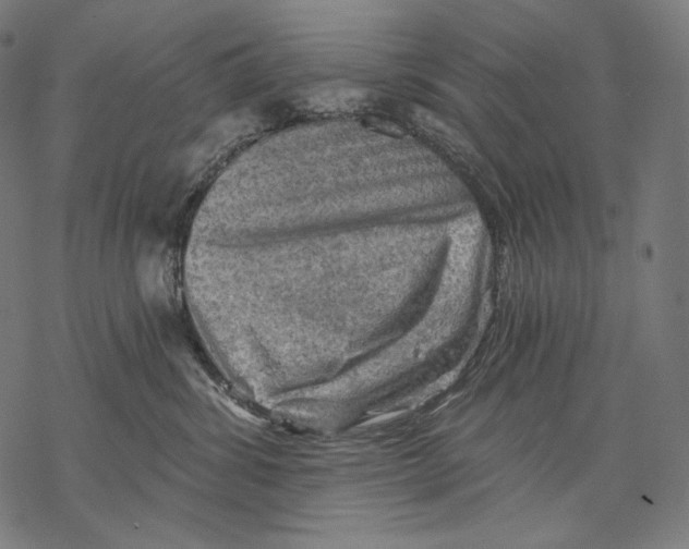 X0000068820428200605261555