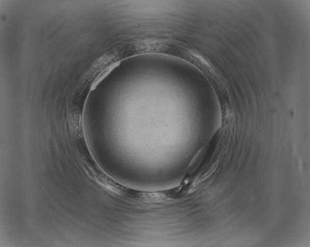 X0000068820429200605261555