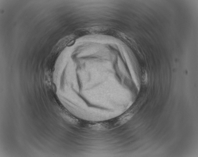 X0000068820430200605261555