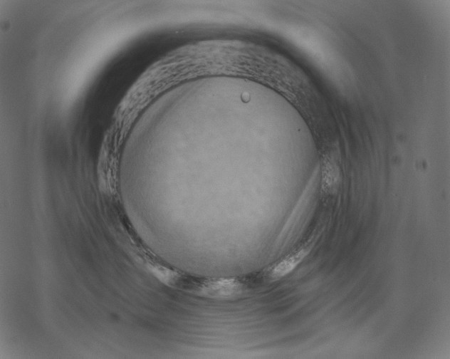 X0000068820431200605261555