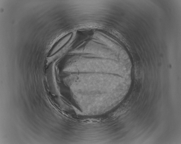 X0000068820434200605261554