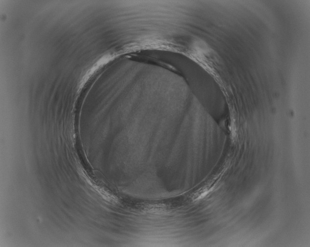 X0000068820438200605261554