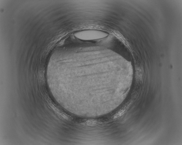 X0000068820441200605261554