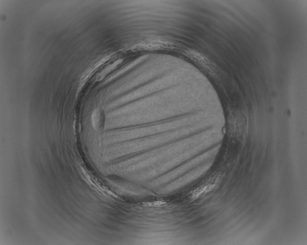 X0000068820446200605261554