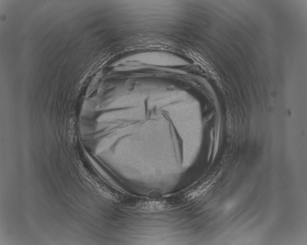 X0000068820449200605261555