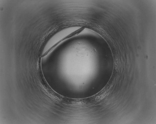 X0000068820454200605261555