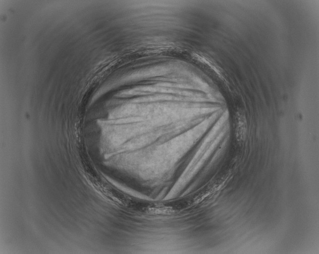 X0000068820455200605261555