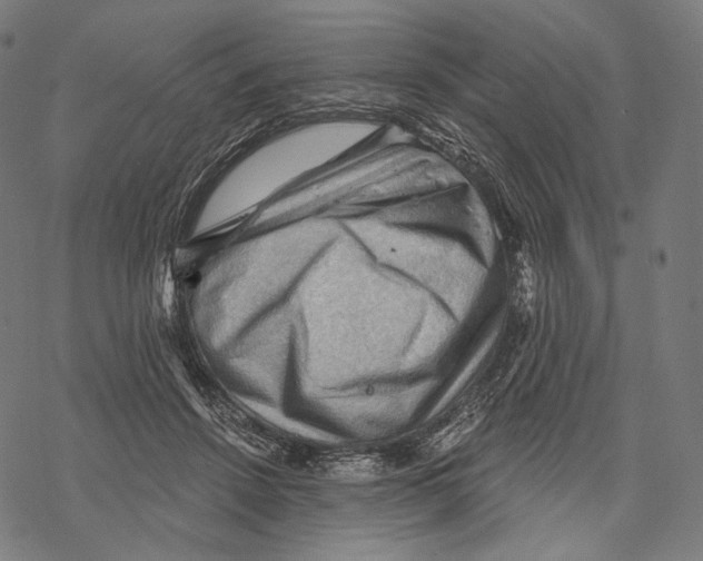 X0000068820456200605261555