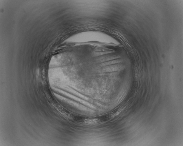 X0000068820457200605261555