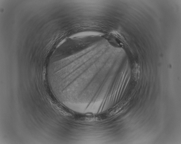 X0000068820458200605261555
