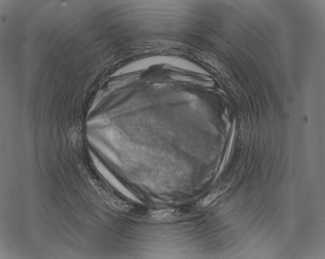 X0000068820461200605261555