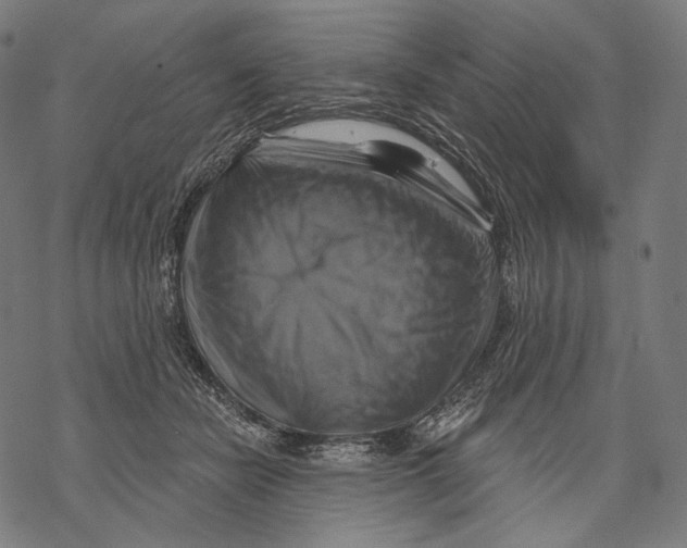 X0000068820462200605261555