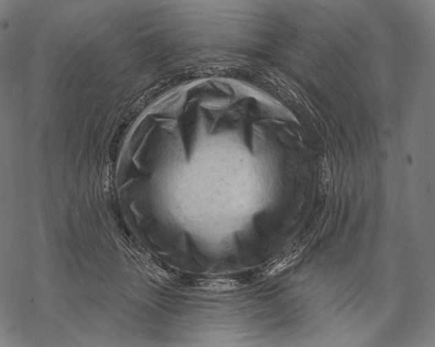 X0000068820463200605261555