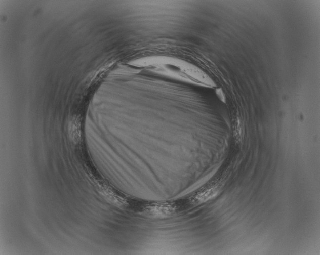 X0000068820466200605261555