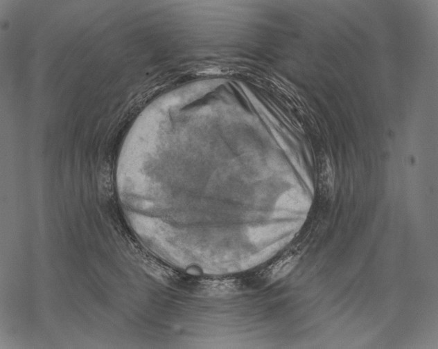 X0000068820469200605261555