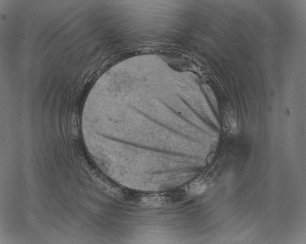 X0000068820470200605261555