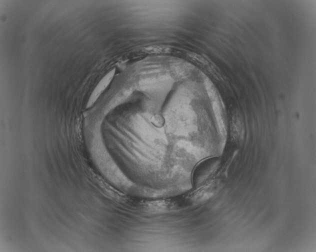 X0000068820473200605261555