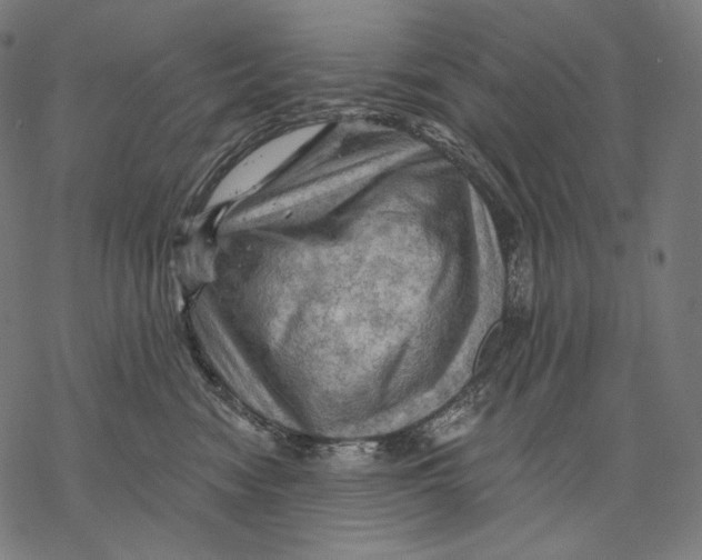 X0000068820474200605261555
