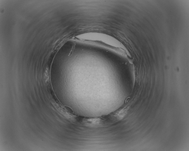 X0000068820478200605261555