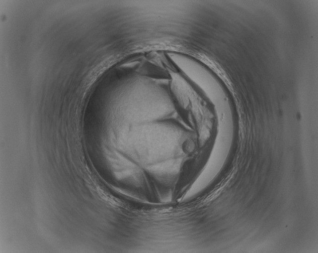 X0000068820481200605261554