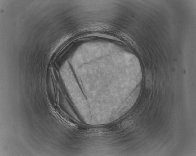 X0000068820482200605261554