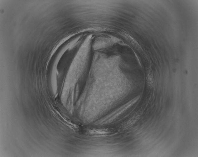 X0000068820484200605261554