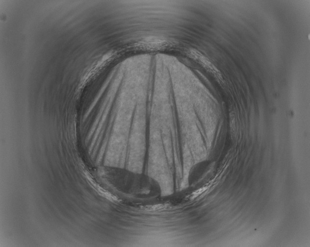 X0000068820493200605261554