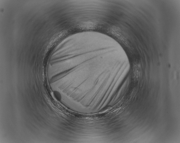 X0000068820494200605261554