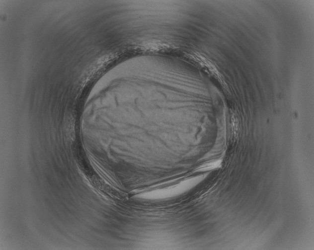 X0000068820496200605261554