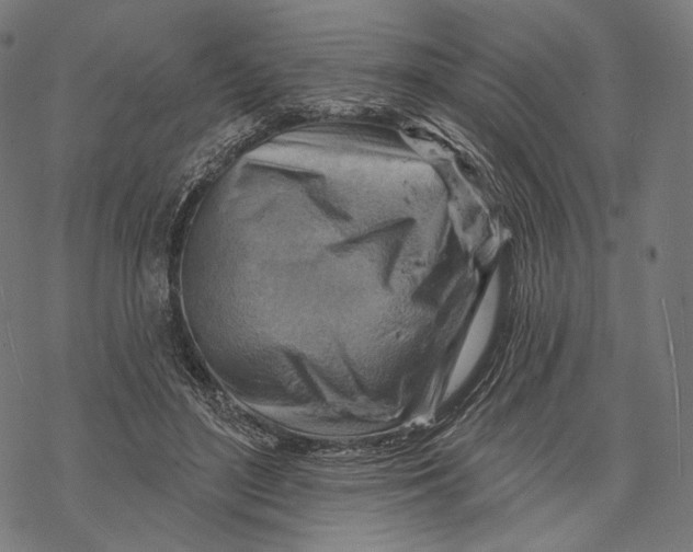 X0000068820500200605261554