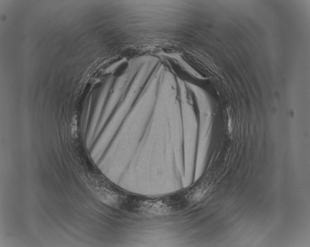 X0000068820502200605261554