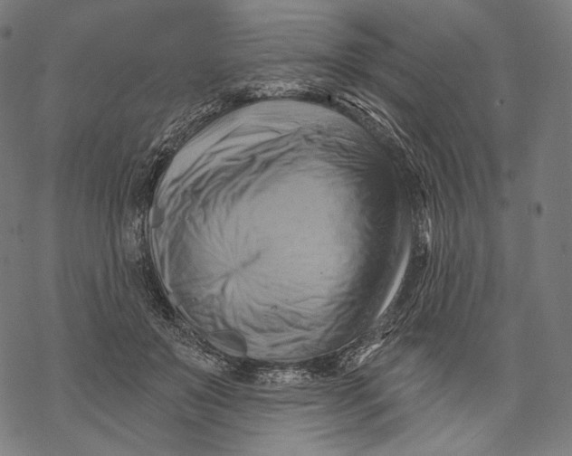 X0000068820503200605261554