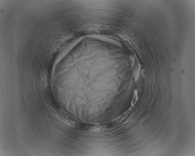 X0000068820504200605261554