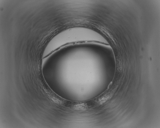 X0000068820505200605261554