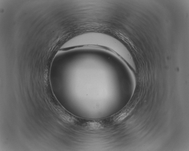 X0000068820509200605261554