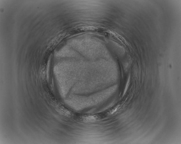 X0000068820513200605261554