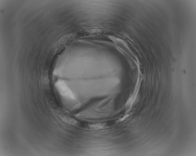 X0000068820516200605261554
