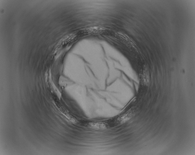 X0000068820520200605261554