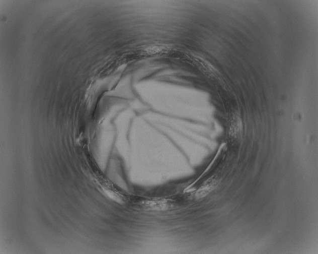 X0000068820524200605261554