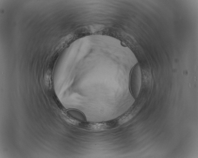 X0000068820527200605261554