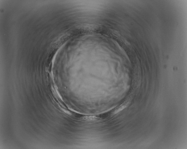 X0000068820528200605261554