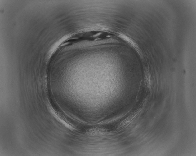 X0000068820535200605261553
