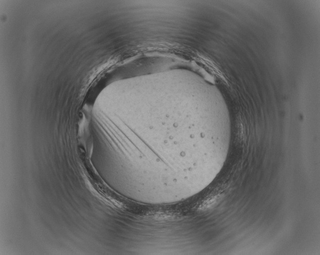 X0000068820538200605261553