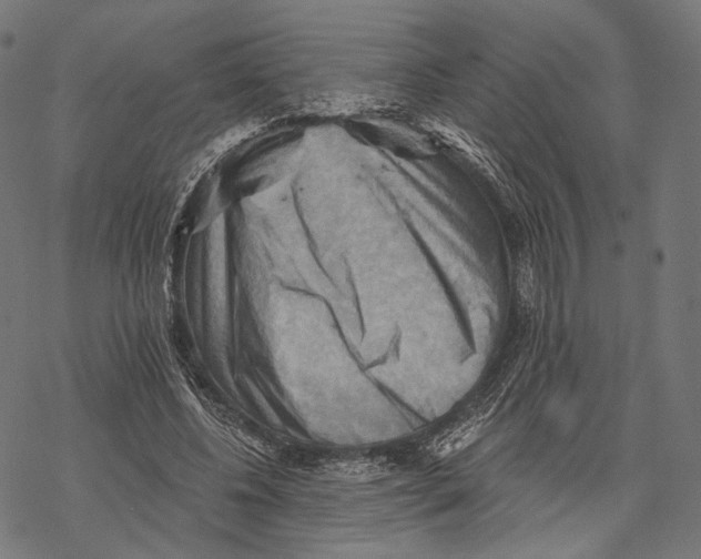 X0000068820540200605261553