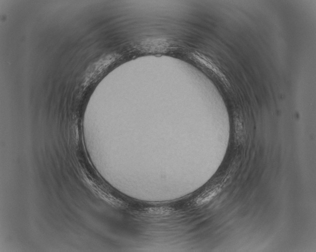 X0000068820541200605261553