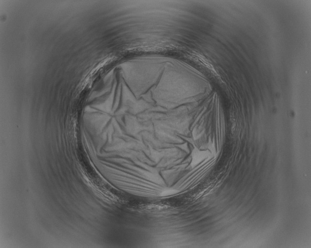 X0000068820542200605261553