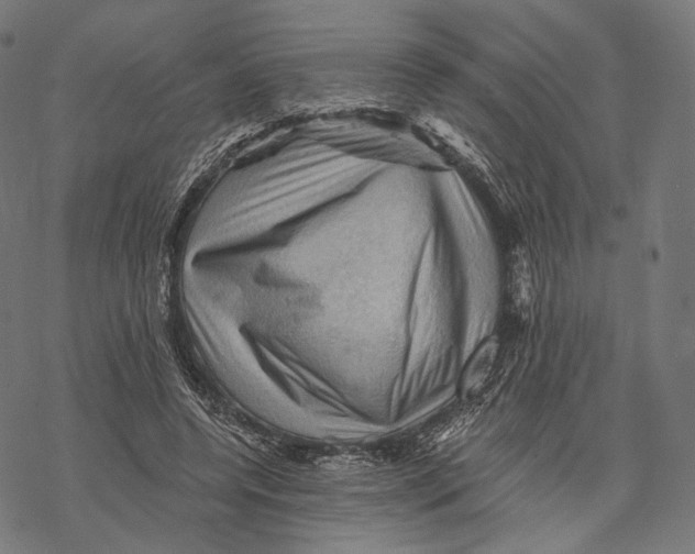 X0000068820544200605261553
