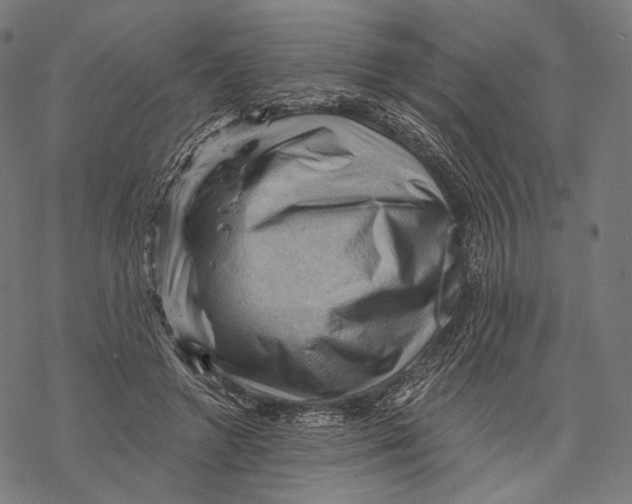 X0000068820546200605261553