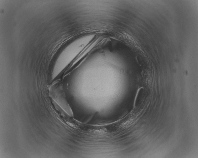 X0000068820548200605261553